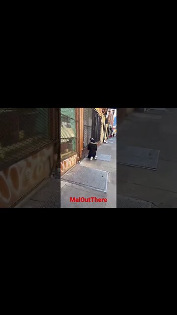 Streets of Philadelphia 2023