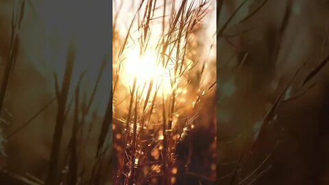 Calming Music and beautiful Nature! Welcome to Relaxing Meditation Music