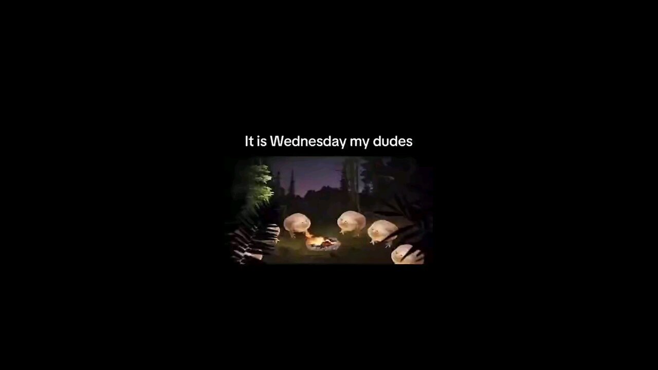 It is wednesday my dudes!!...