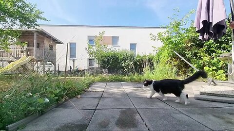 Highlight 3:09 – 8:10 von Silent Long LIVE for wh update in the garden @travelgeorge #ghitatravel