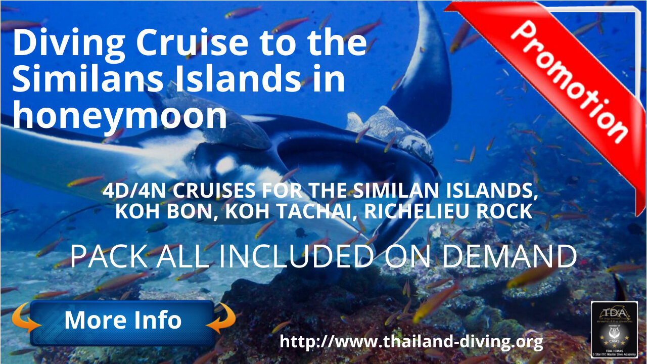 🤿 🐋Diving #Liveaboard in the Similans Islands in Honeymoon