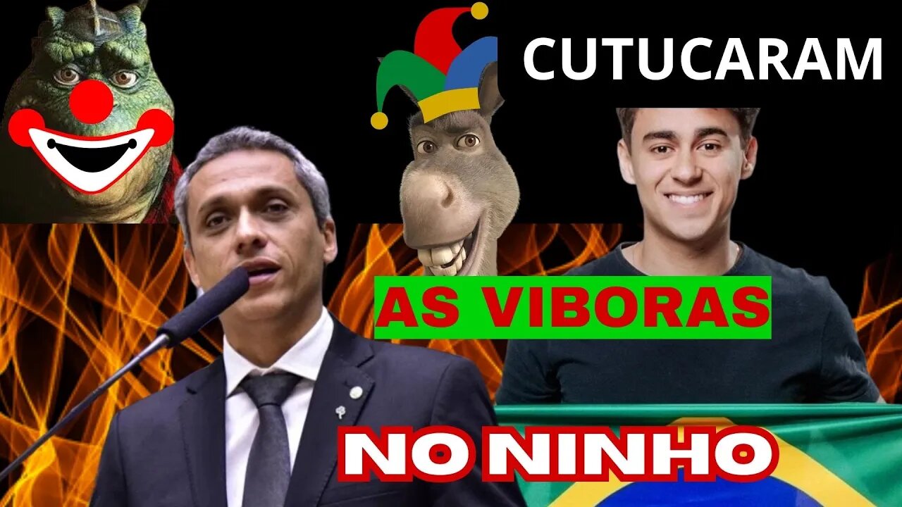 GUSTAVO GAYER E NIKOLAS FERREIRA FORAM COM TUDO PRA CIMA DELES-MAIS UM AUDIO VAZADO