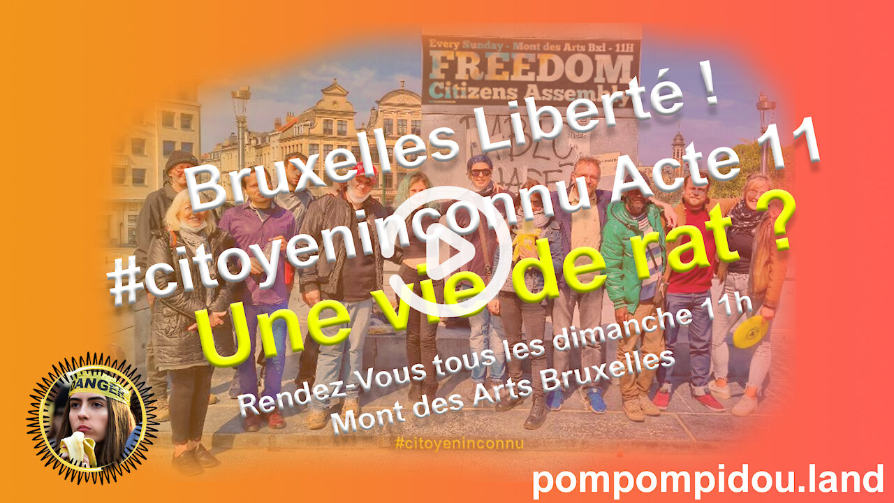 Bruxelles Liberté ! #citoyeninconnu Acte 11