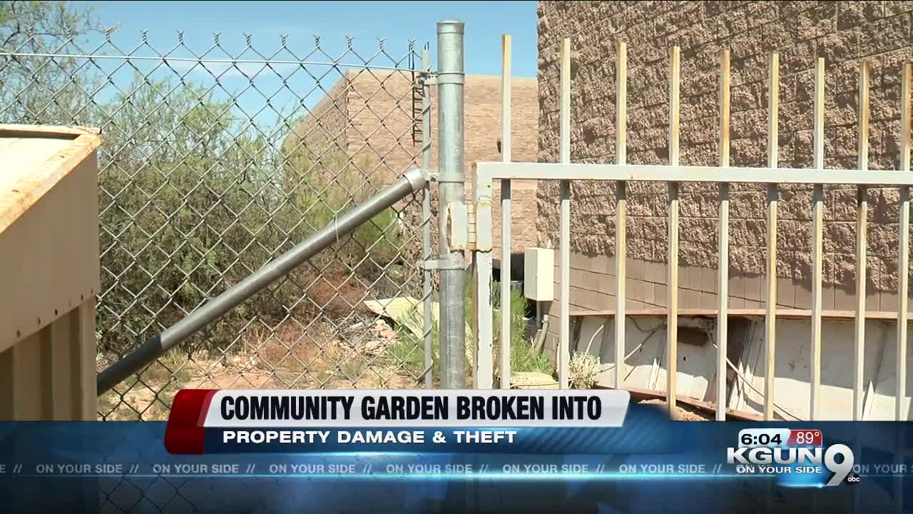 Rita Ranch Community Garden hit with vandalism, theft