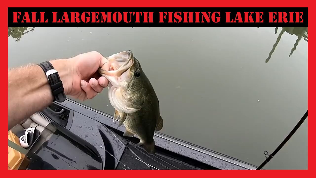 Lake Erie Fall Largemouth Fishing