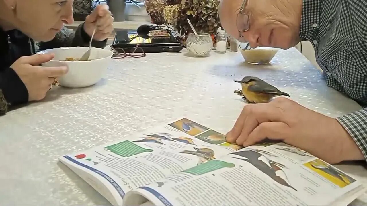 Najadł Się I Śpi 🤣😝