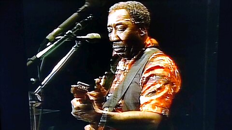 Muddy Waters 1981 Baby Please Don't Go