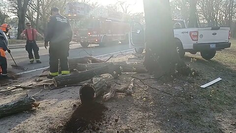 a tree falls in Franklin Park roadway and quickly remove by Parks and Recreation