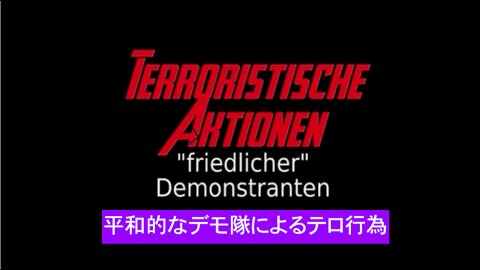 『平和的なデモ隊によるテロ行為 』Demonstrator Terrorist Activities