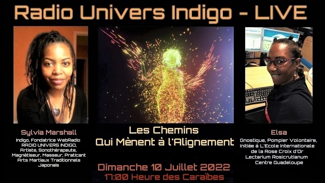 Radio Univers - LIVE on Telegram - Les Chemins Qui Mènent à l'Alignement - Sylvia Marshall reçoit Elsa -