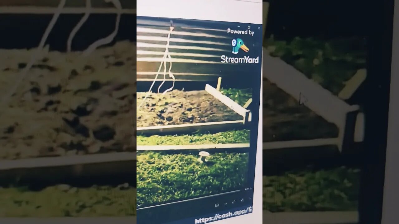 Do Not Hire This Handyman