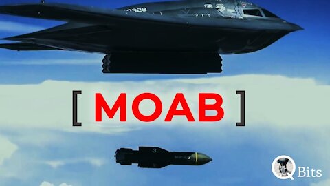 #258 // M O A B