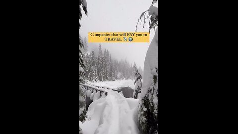 Want to get PAID to TRAVEL!? 👇🏻🌍✈️