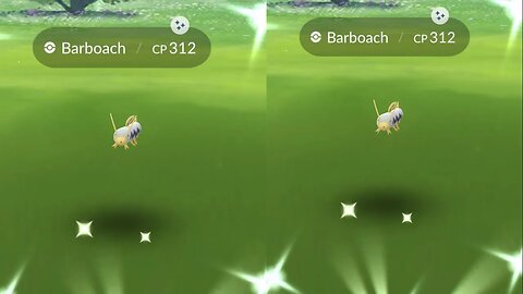 My Reaction to Shiny Barboach