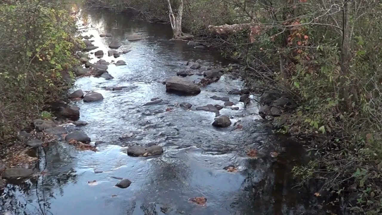 Beautiful Relaxing Book Flowing