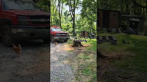 #farmstead #shortsfeed #shorts #stumpremoval #chevy #chevrolet