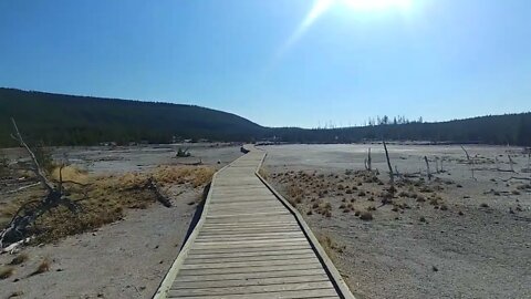 On a boardwalk in Norris Geyser Basin