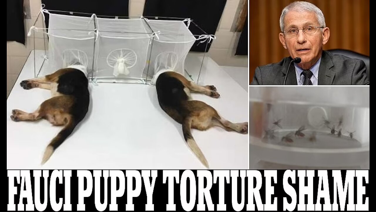 BREAKING: FAUCI tortures puppies, FOR REALZ!