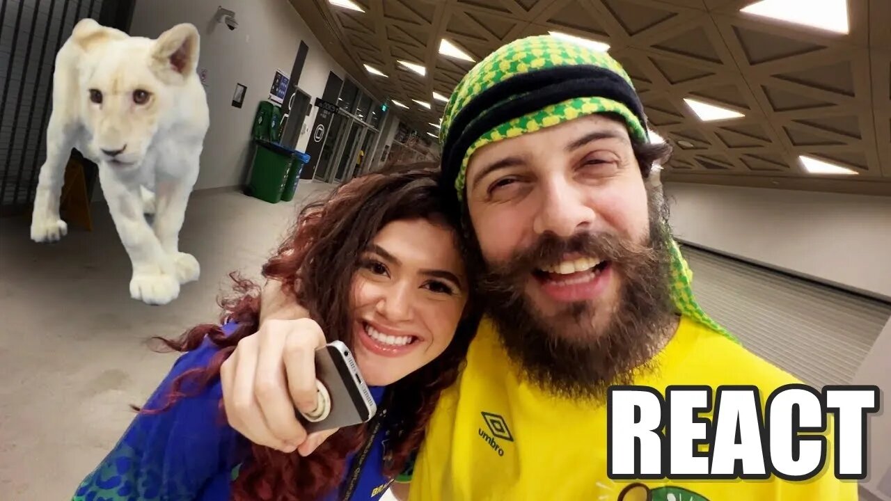 (REACT AO VIVO) REPÓRTER DOIDÃO NA ESTRÉIA DO BRASIL NA COPA DO MUNDO DO QATAR (BRASIL x SÉRVIA)