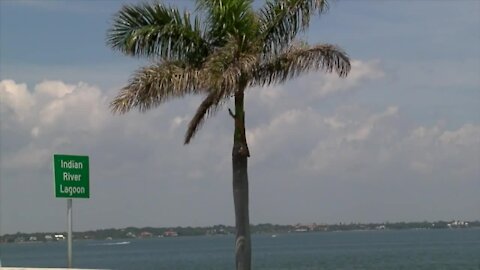 'Rally for the manatees' held in Stuart
