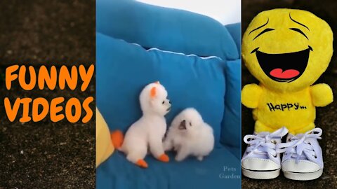 FUNNY ANIMAL VIDEO COMPILATION #18