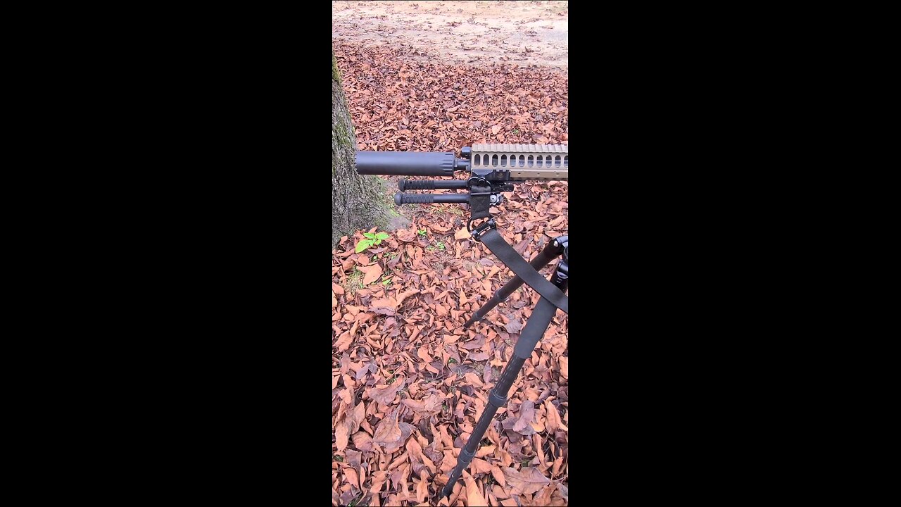 1 OF MY HOG HUNTING SETUPS