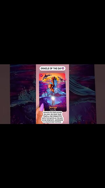 GET READY FOR RAPID ASCENSION ⚡️