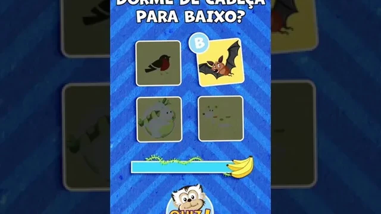 Quiz do Preguinho - #02 - Animais