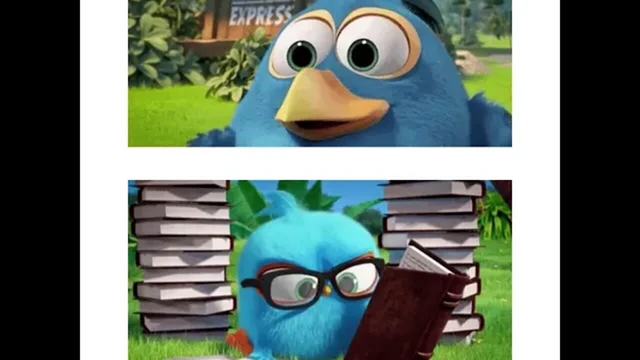 desenho angry e birds blues completo