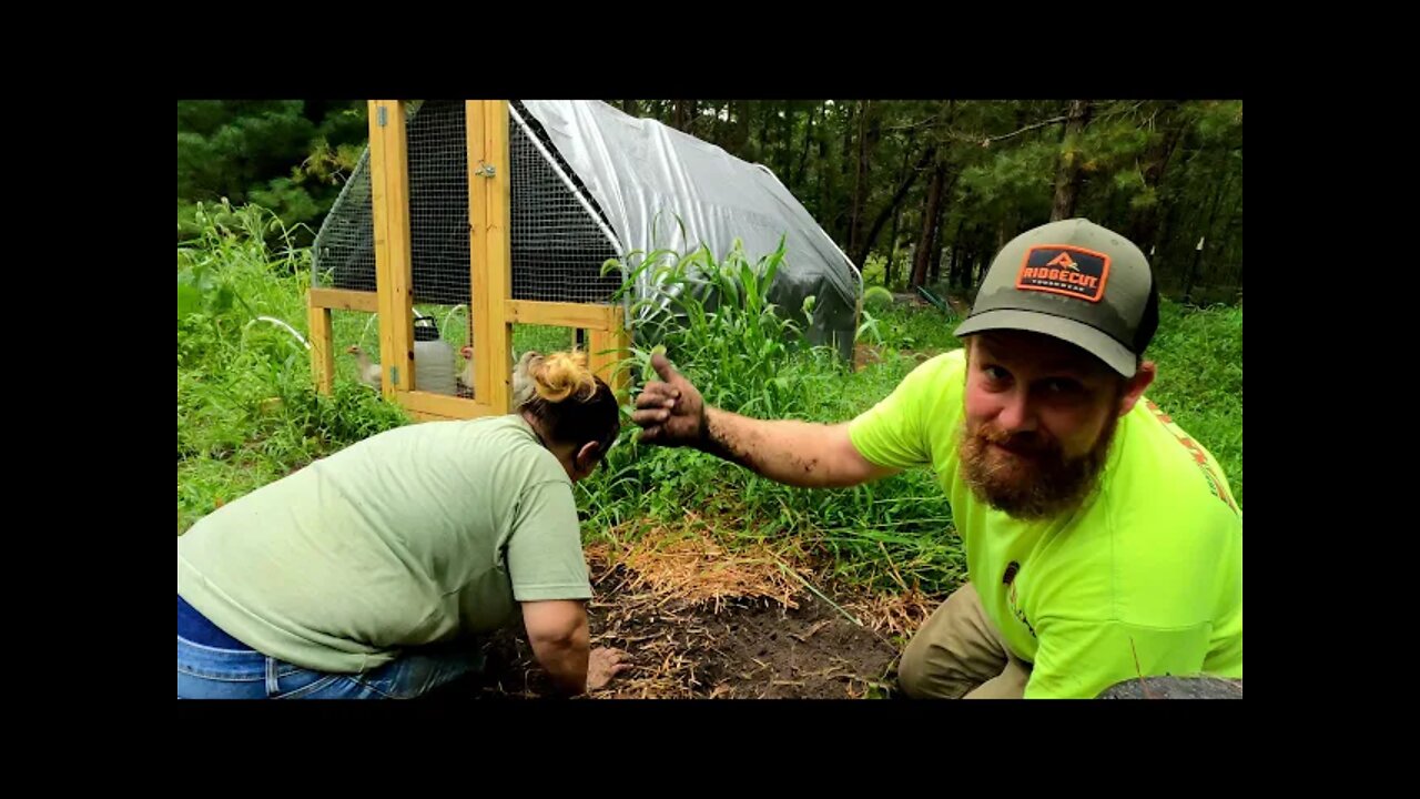 SPUDS! Our FIRST POTATO HARVEST! | Growing potatoes on our small farm