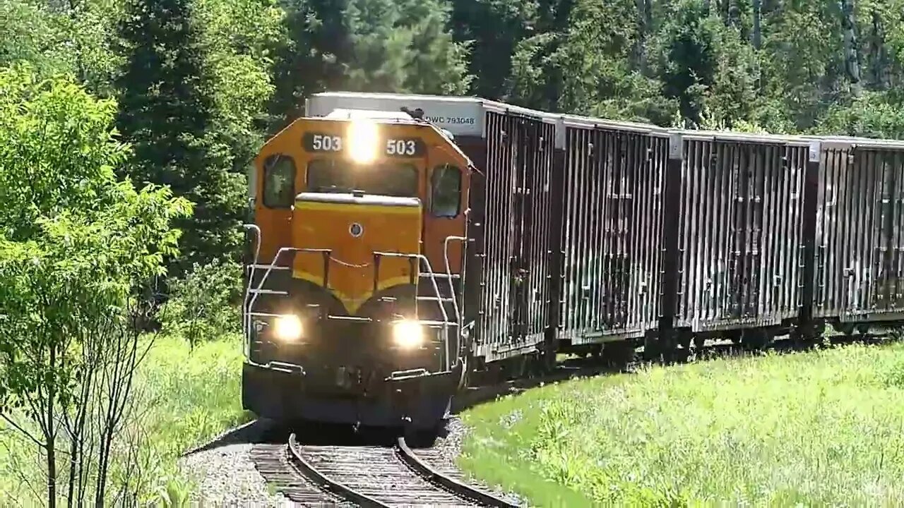 That Was Weird Seeing ELS 503 (SD40) Going North, Plus NO Ticks Found Neither! | Jason Asselin