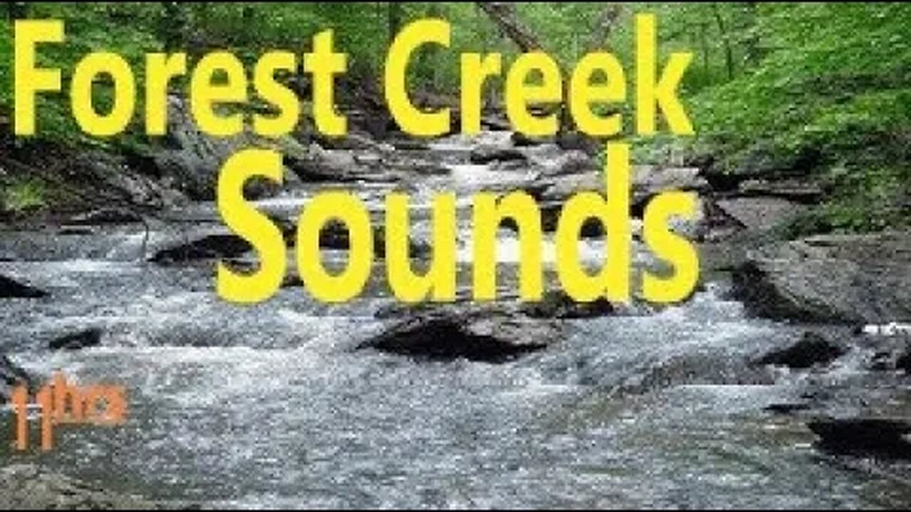 Soothing Forest Creek Stream Sounds for Relaxation, Focus, Study, Meditation, Work, Soothe Baby