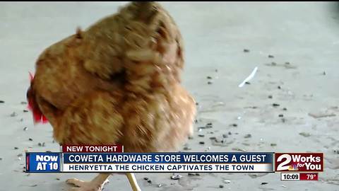 Coweta hardware store welcomes a guest