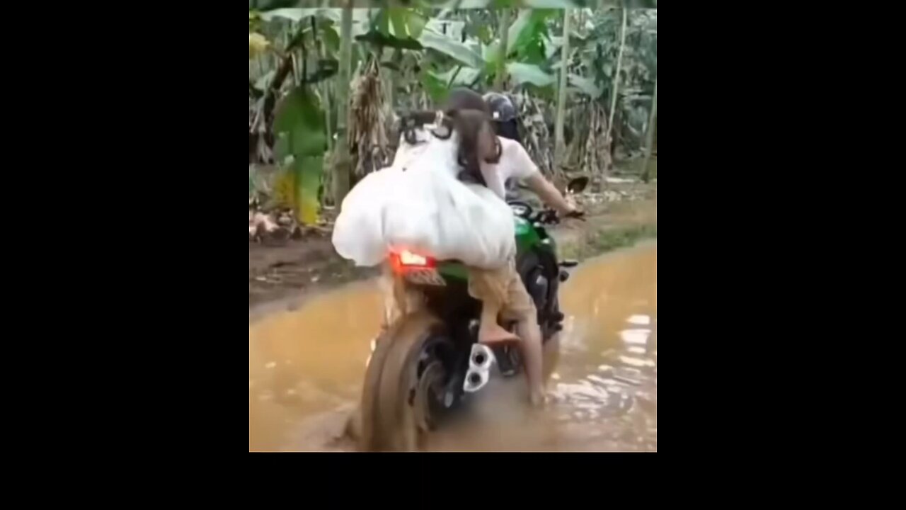funny funny photoshoot gone wrong funny funny end up fails