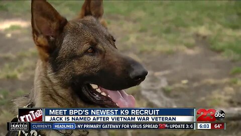 BPD introduces it's newest K9, named after a war hero