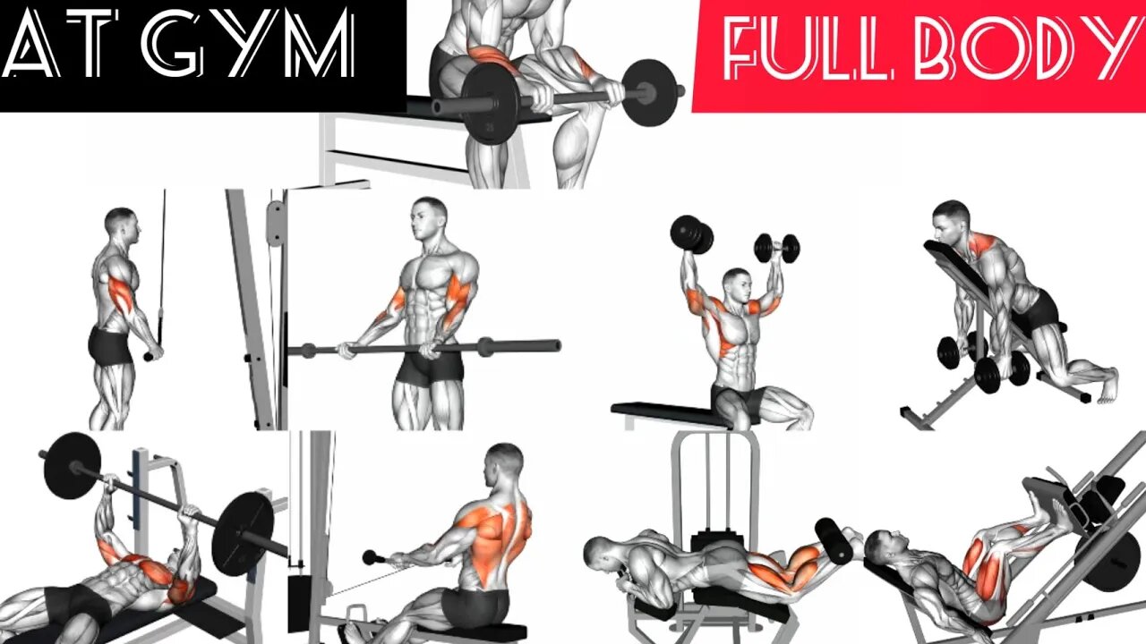 Full body at gym: 11 exercise (Leg/back/chest/trapeze/shoulders/biceps/triceps/forearm)