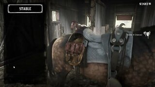 RED DEAD REDEMPTION II pc gameplay part 33