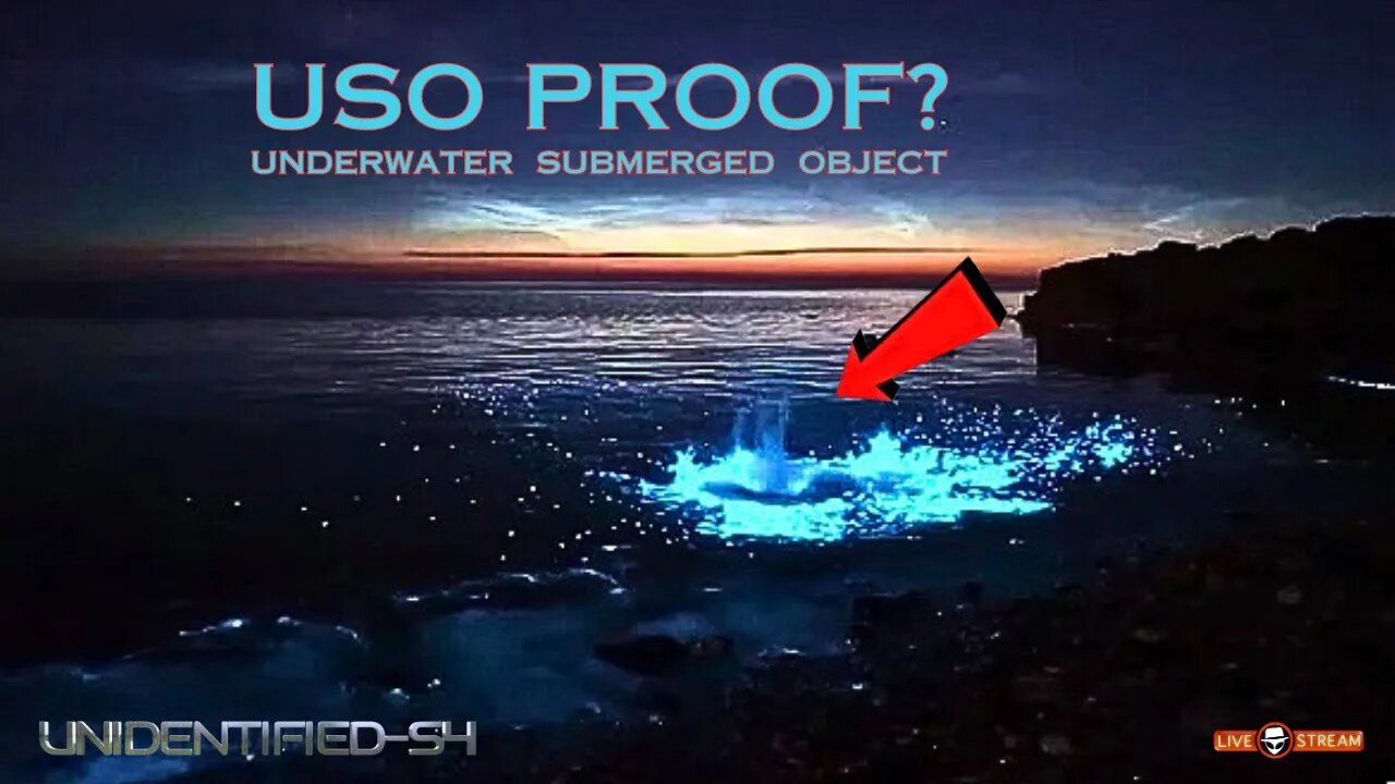 UNDERWATER SUBMERGED OBJECT FILMED?