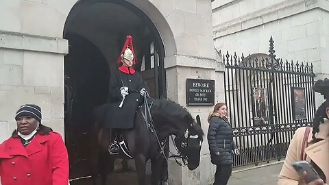 The kings guard yanks the Reins out of her hand #thekingsguard