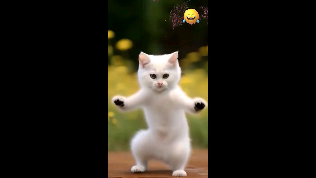 Try not to laugh baby cat most funny dance 🤣😂 #aicat #dancingcat