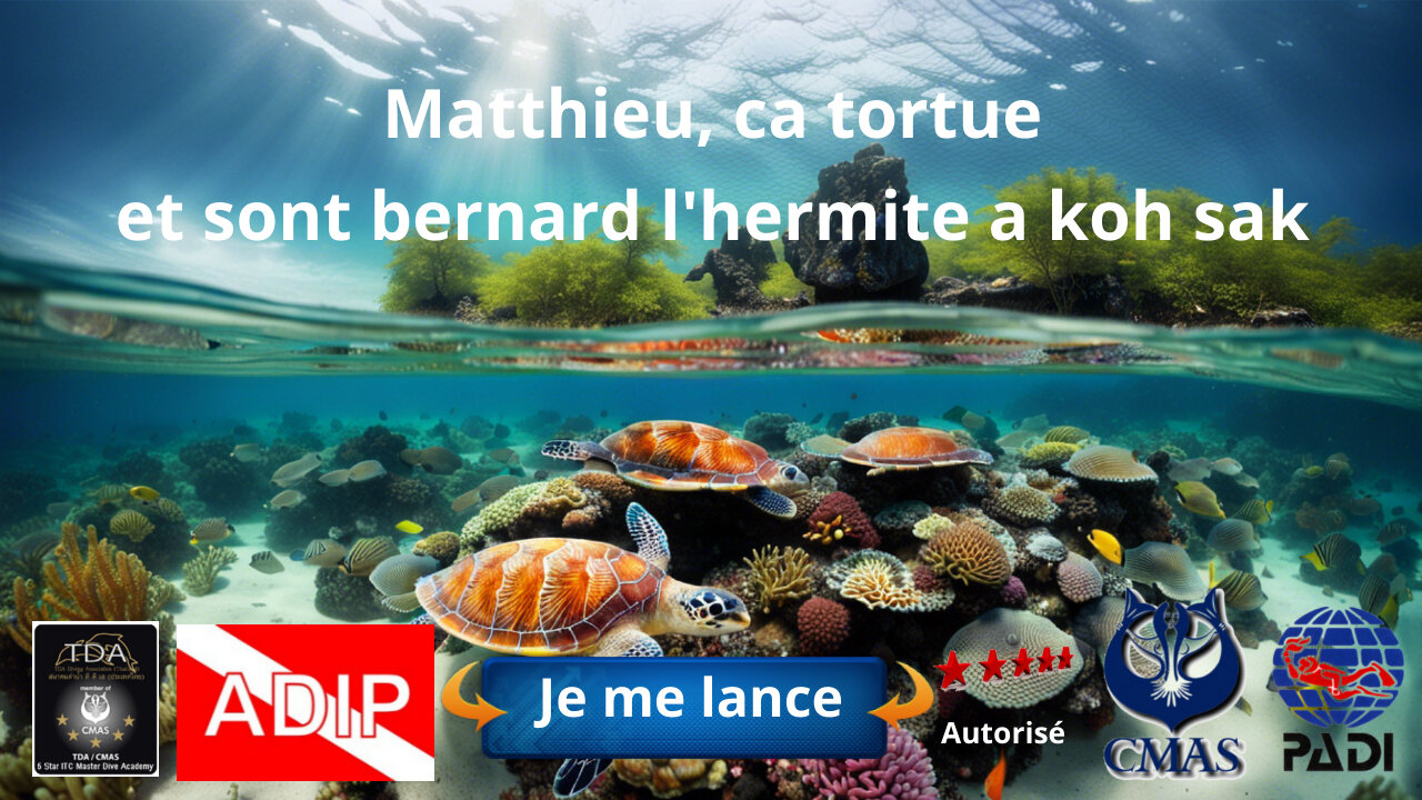 Matthieu, ca tortue et sont bernard l'hermite a koh sak