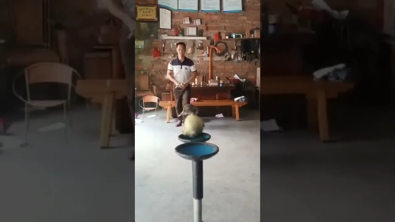 Sick Skills