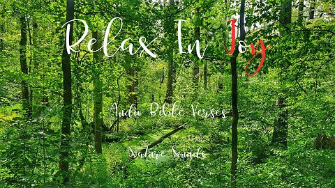 Relax in Joy | Bible Verses | Nature Sounds | 30 Minutes