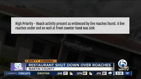 Dirty Dining: Roach activity temporarily shuts down 2 restaurants