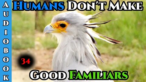 Humans Are CHAOS - Humans Don't make Good Familiars (Ongoing) - Ch.34 | HFY | Fantasy |