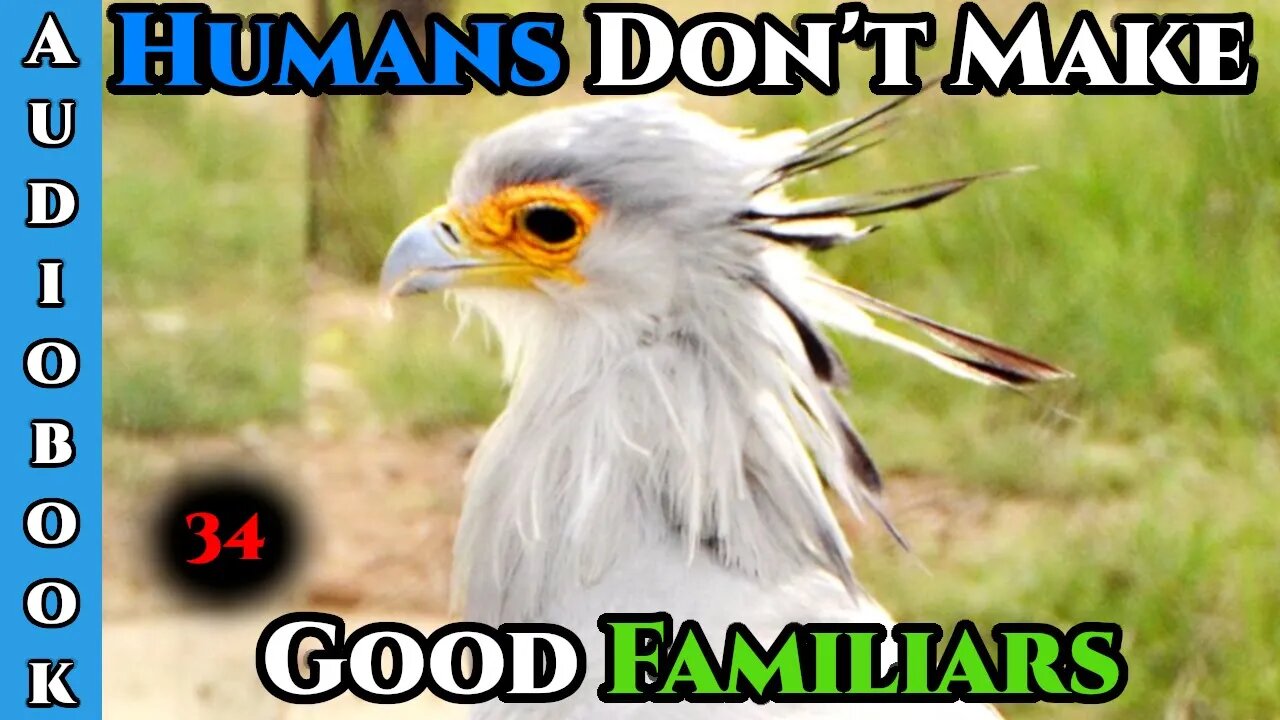 Humans Are CHAOS - Humans Don't make Good Familiars (Ongoing) - Ch.34 | HFY | Fantasy |