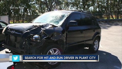 Pedestrian killed in Plant City hit-and-run, police searching for suspect