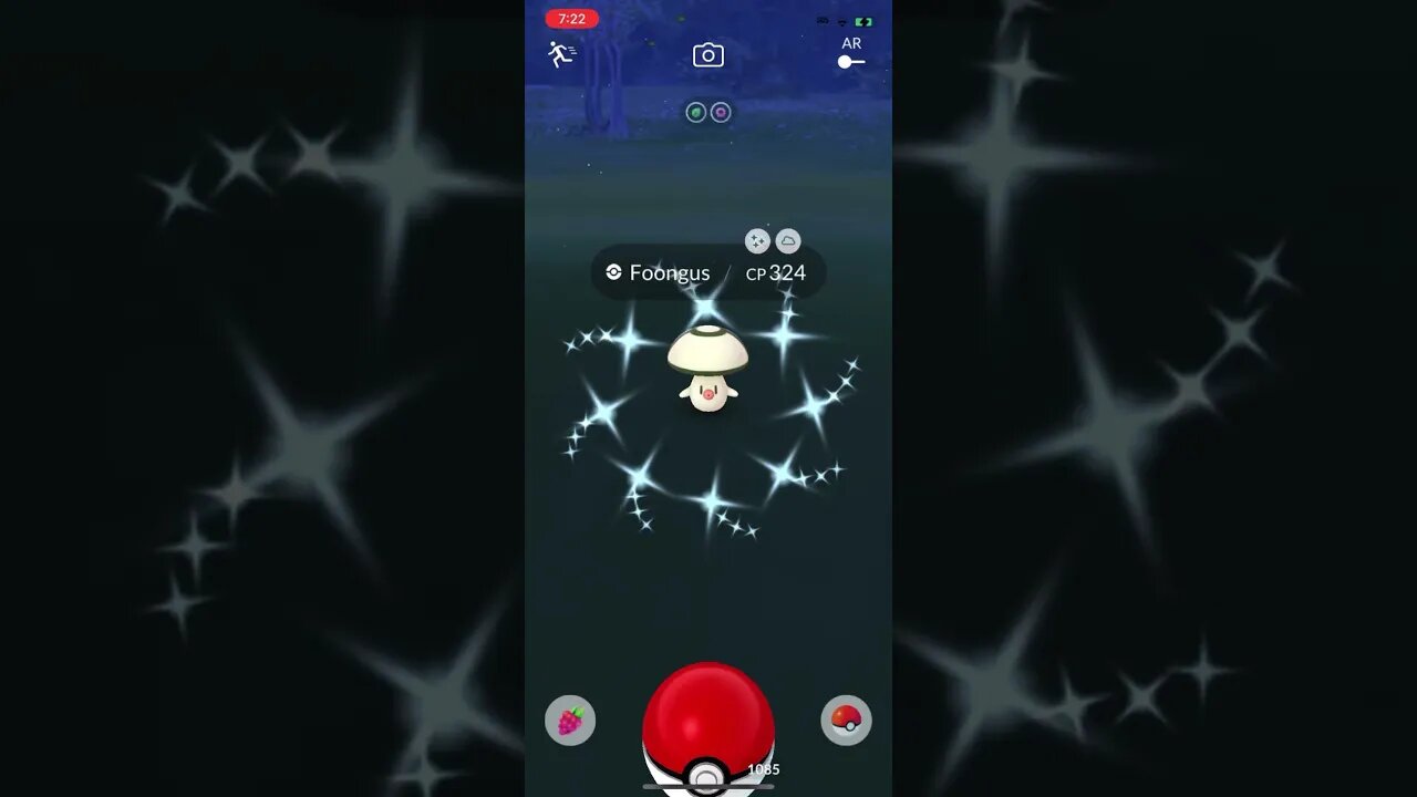 Shiny Compilation