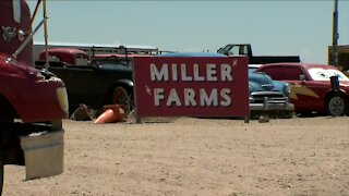 Farm rallies back after tornado hit Weld County in June