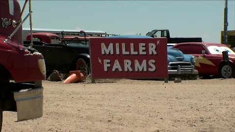 Farm rallies back after tornado hit Weld County in June